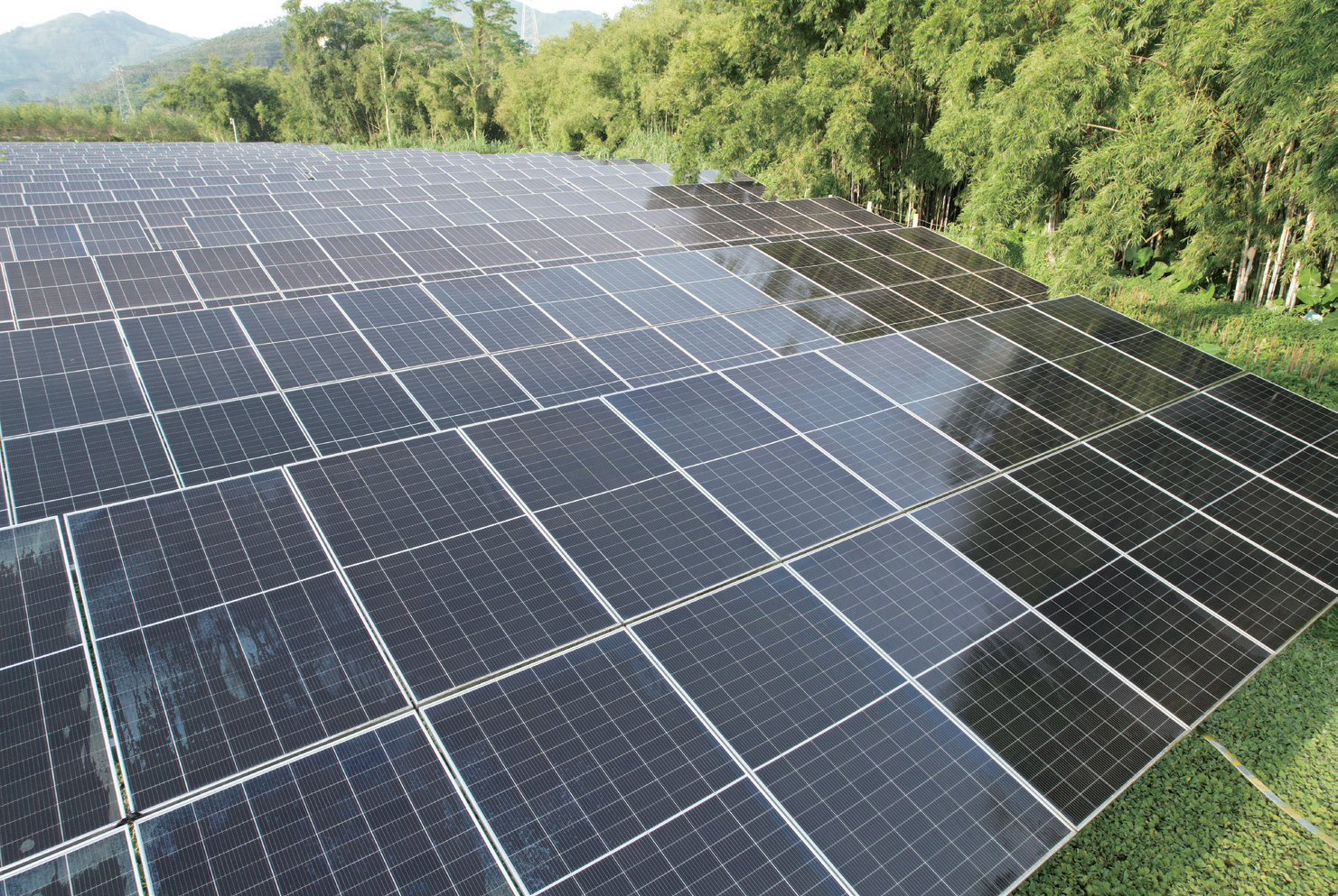 Photovoltaic panel cleaning