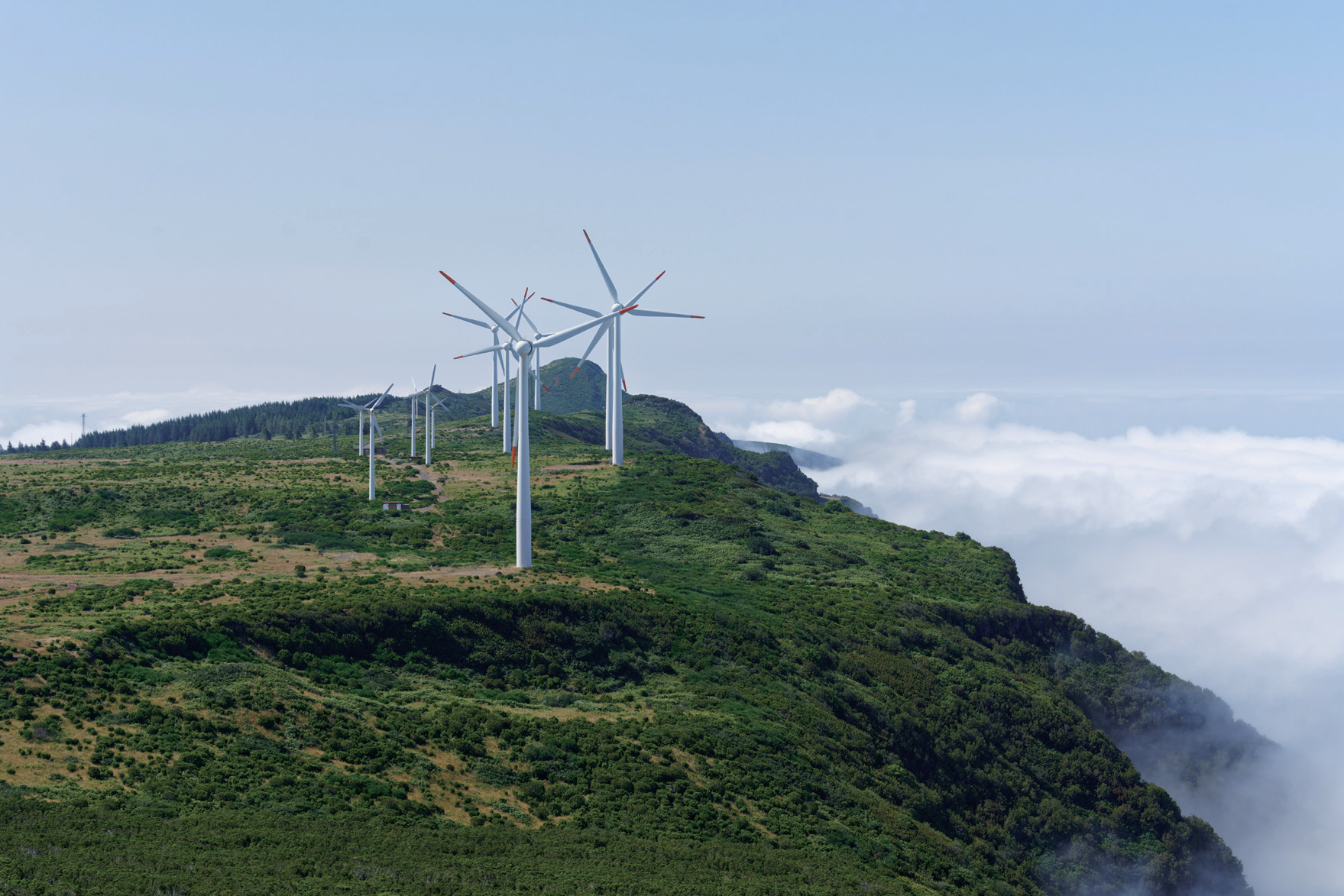 Wind turbine cleaning