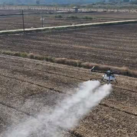 Efficient Pre-Emergence Weed Control in Wheat with the A80 Agricultural Drone