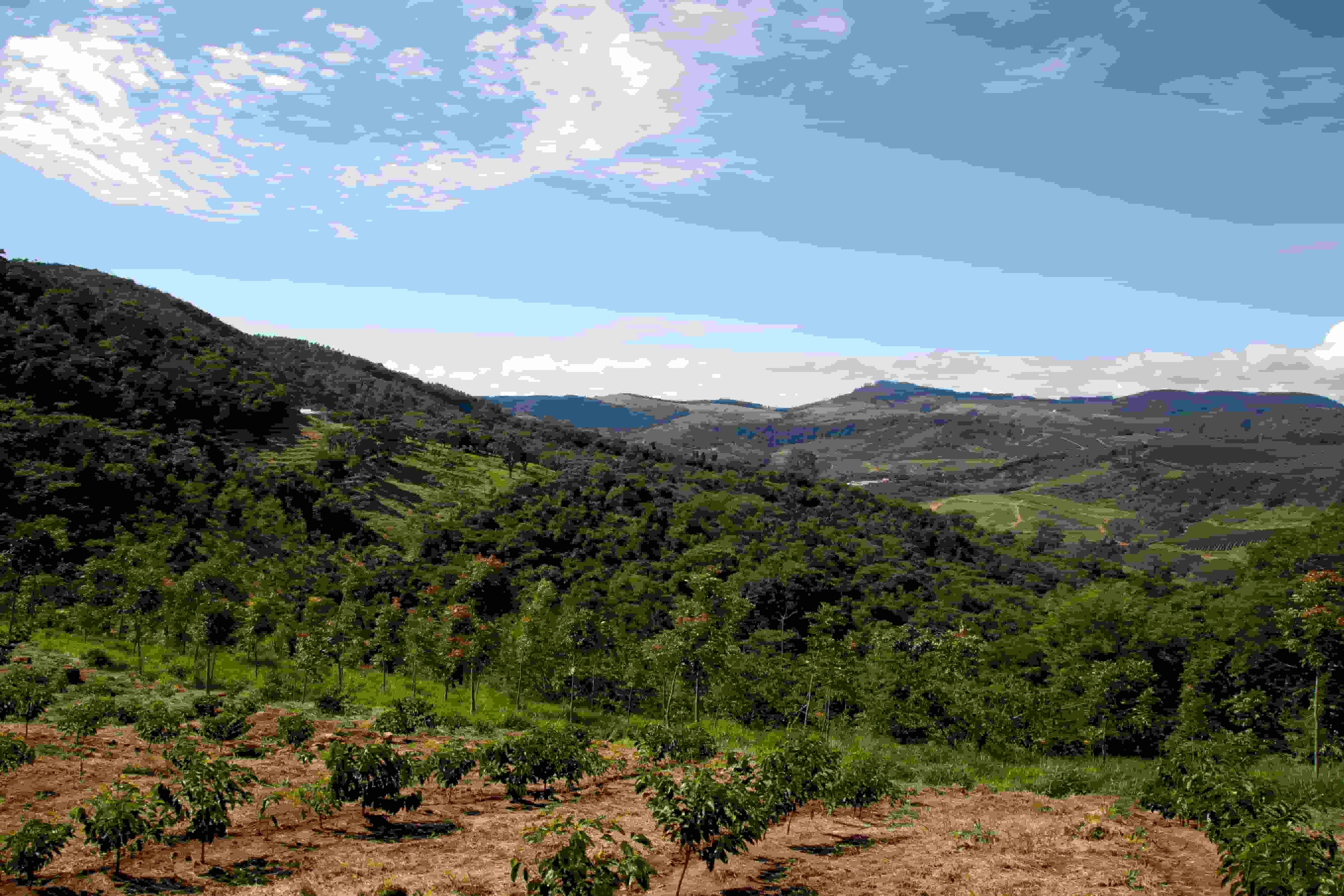 How Agricultural Drones Are Helping Brazilian Farmers Improve Crop Spraying Operations